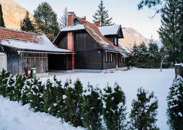 Cozy Alpine House